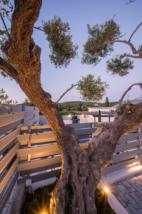 B&M Villas Metochi Siriliou Ngoại thất bức ảnh